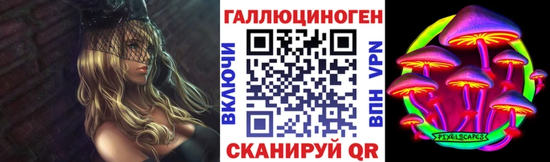 закладки  Облучье  Псилоцибиновые грибы мухоморы 